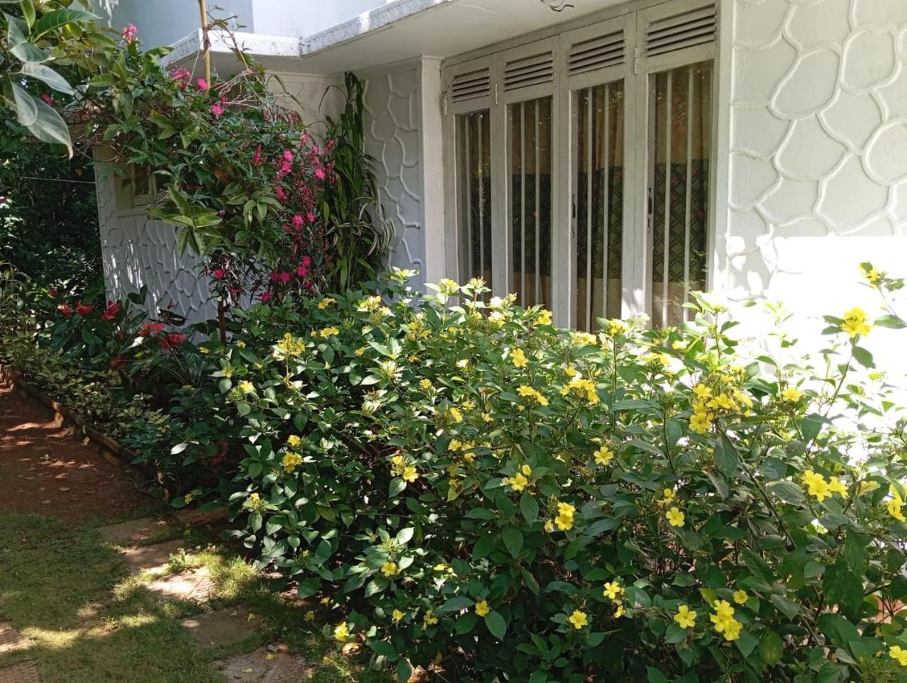 Ella Relax Inn מראה חיצוני תמונה